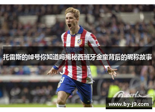 托雷斯的绰号你知道吗揭秘西班牙金童背后的昵称故事