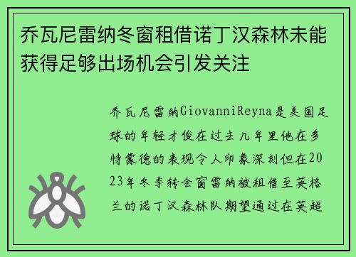 乔瓦尼雷纳冬窗租借诺丁汉森林未能获得足够出场机会引发关注 乔瓦尼雷纳冬窗租借诺丁汉森林未能获得足够出场机会引发关注