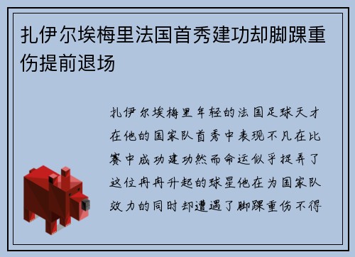 扎伊尔埃梅里法国首秀建功却脚踝重伤提前退场 扎伊尔埃梅里法国首秀建功却脚踝重伤提前退场